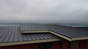 Fast & Reliable Emergency Roof Repairs in Willis, TX